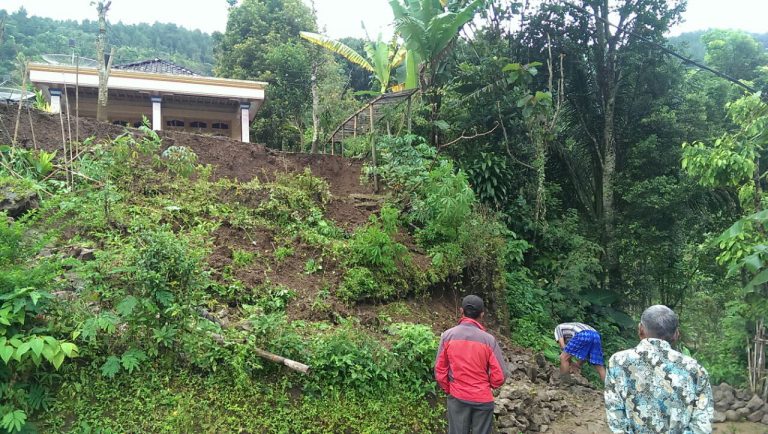 Pohon Tumbang dan Longsor Ringan